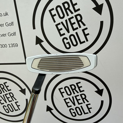 TAYLORMADE SPIDER EX PUTTER / 34” / Mens RH / Grey/White / GOOD USED